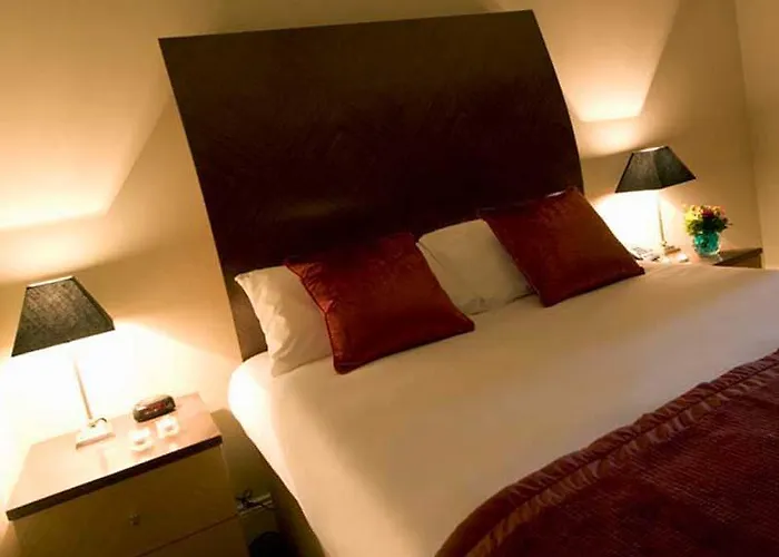 Otel Premier Leeson St Dublin